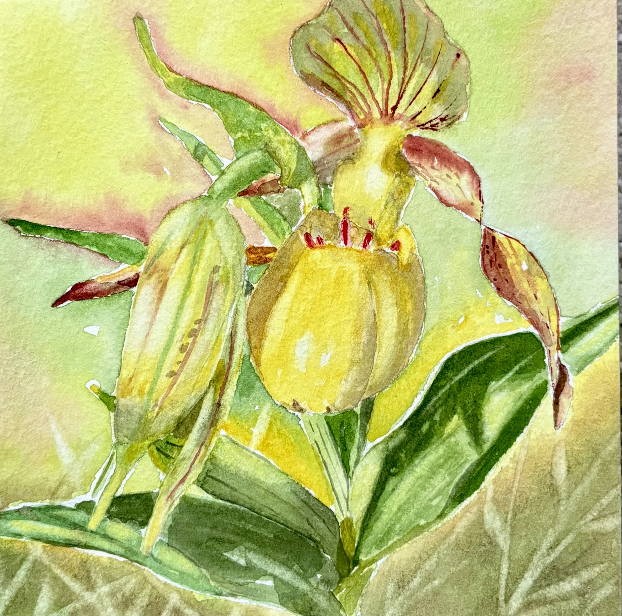 A Slipper in the Woods by Bonnie Hastings