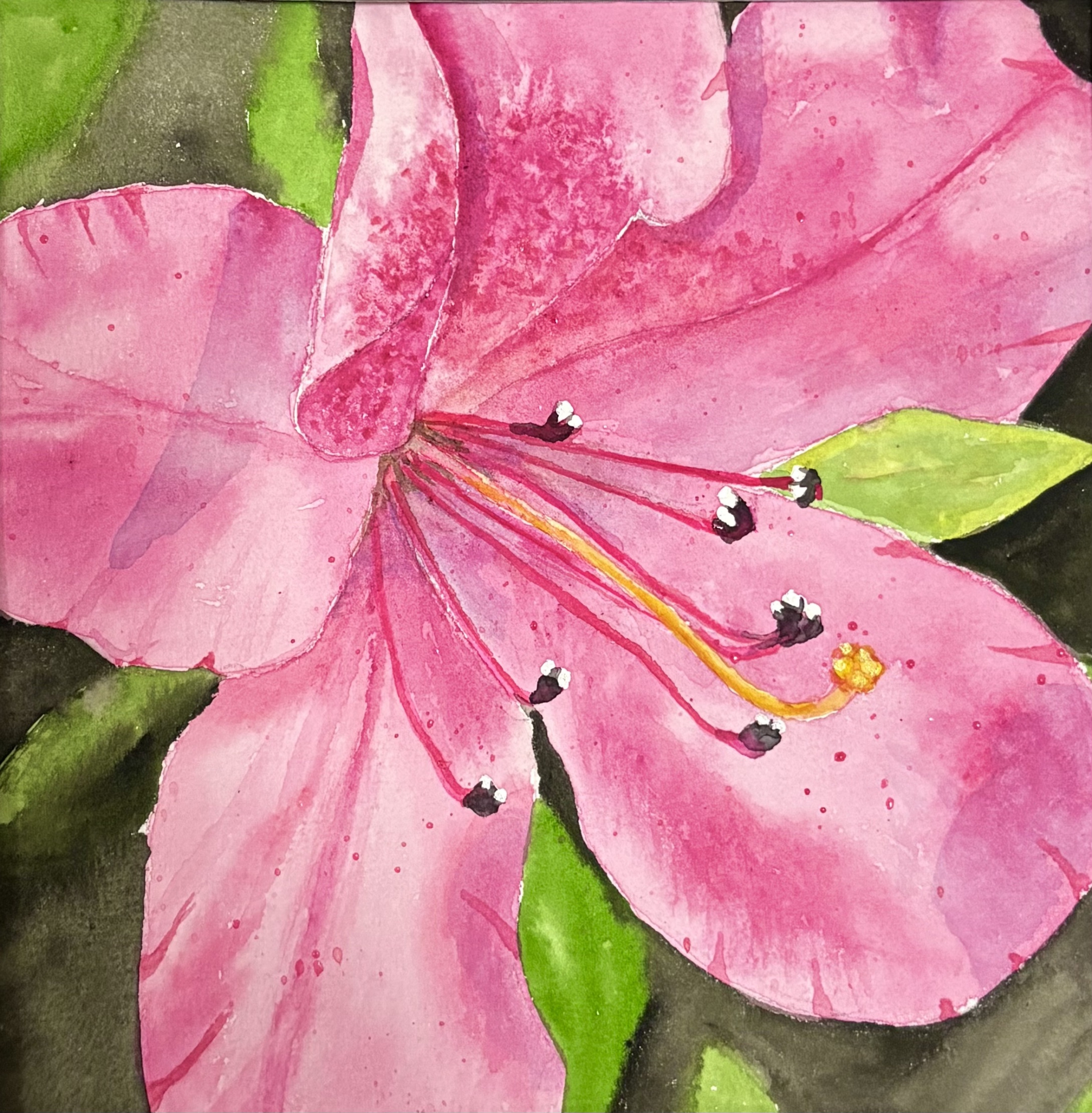 Alluring Azalea by Bonnie Hastings