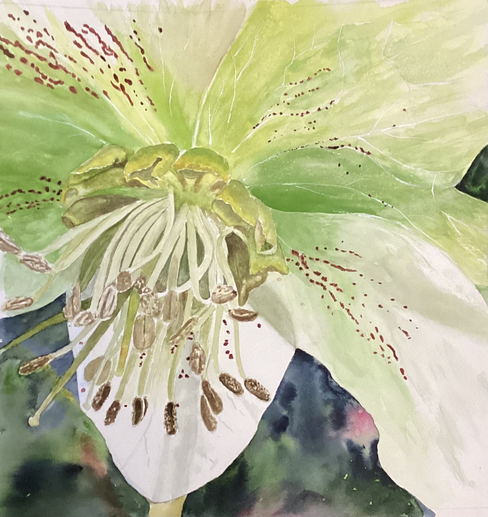 Before Spring Decides by Bonnie Hastings
