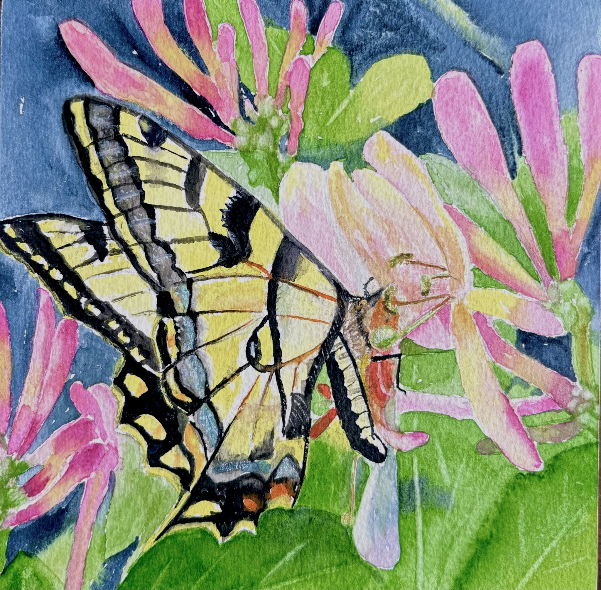 Click here to view Lunch Time by Bonnie Hastings