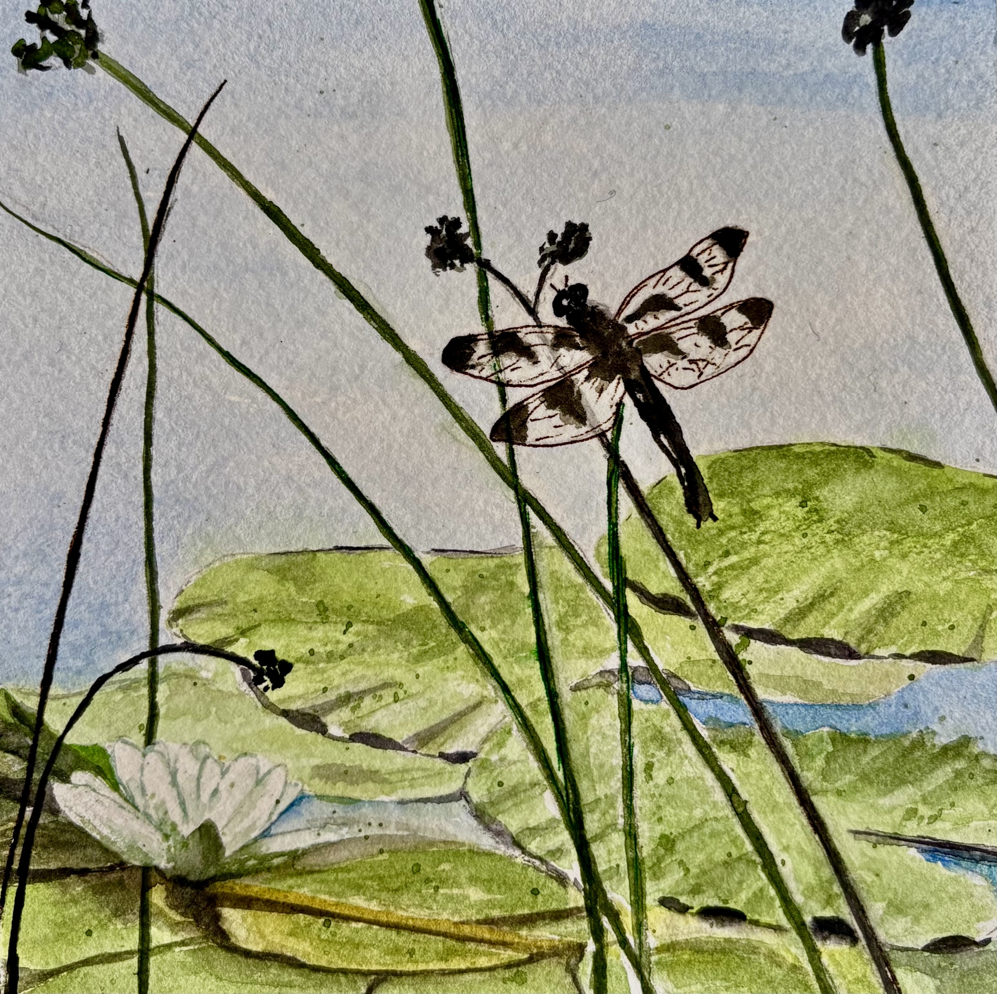 In the Marsh by Bonnie Hastings