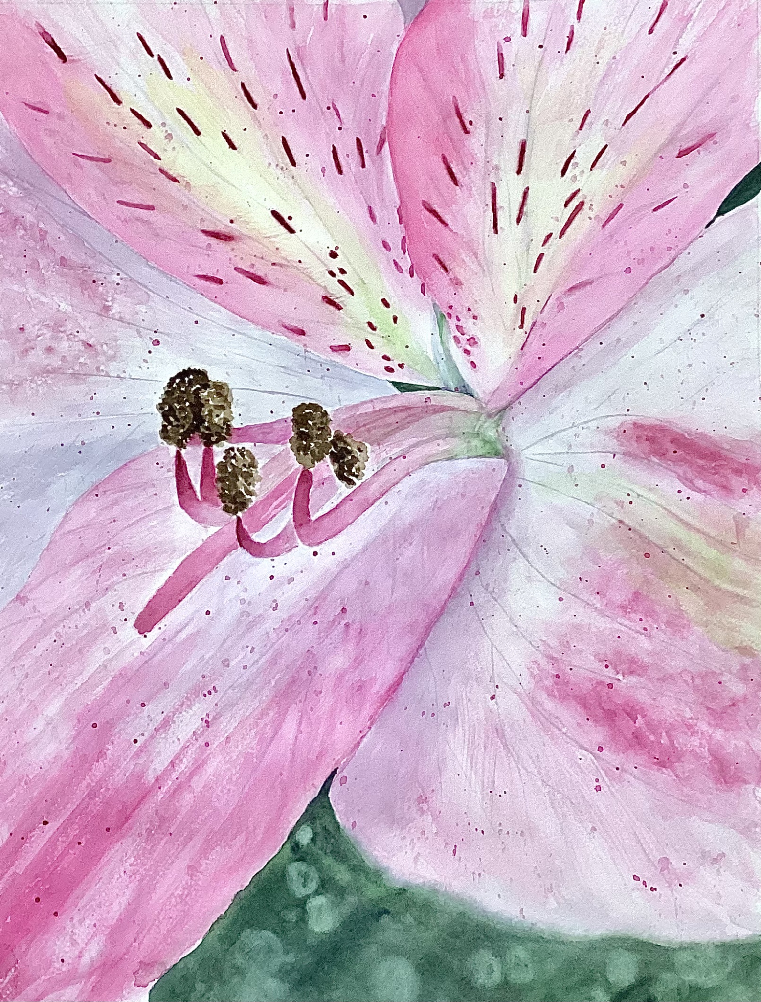 Lily in Pink by Bonnie Hastings