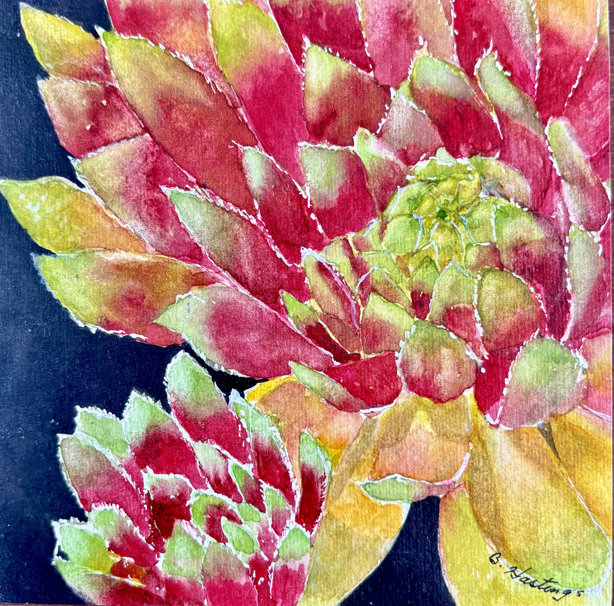 Ember Rosette by Bonnie Hastings
