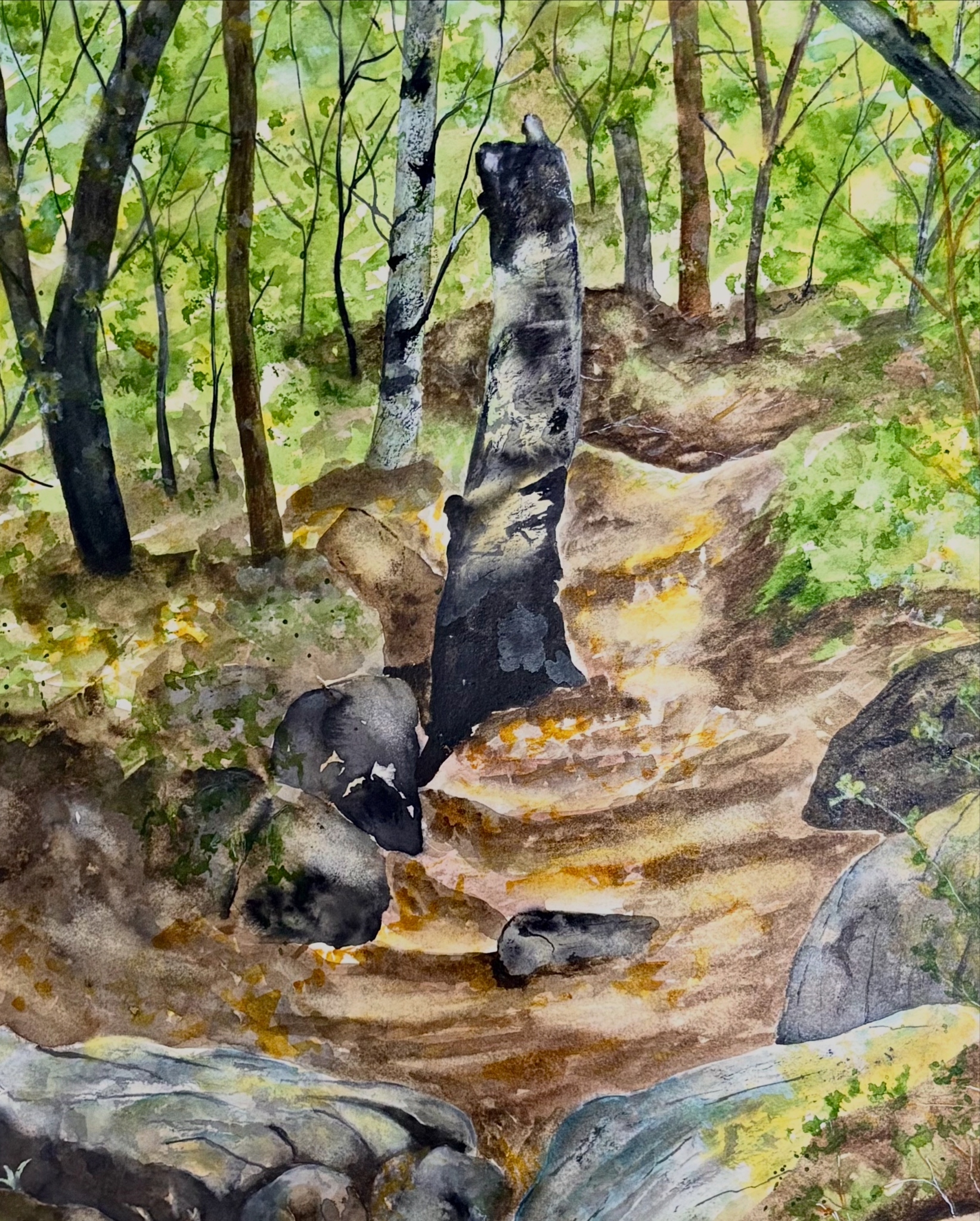 Watch Your Step by Bonnie Hastings