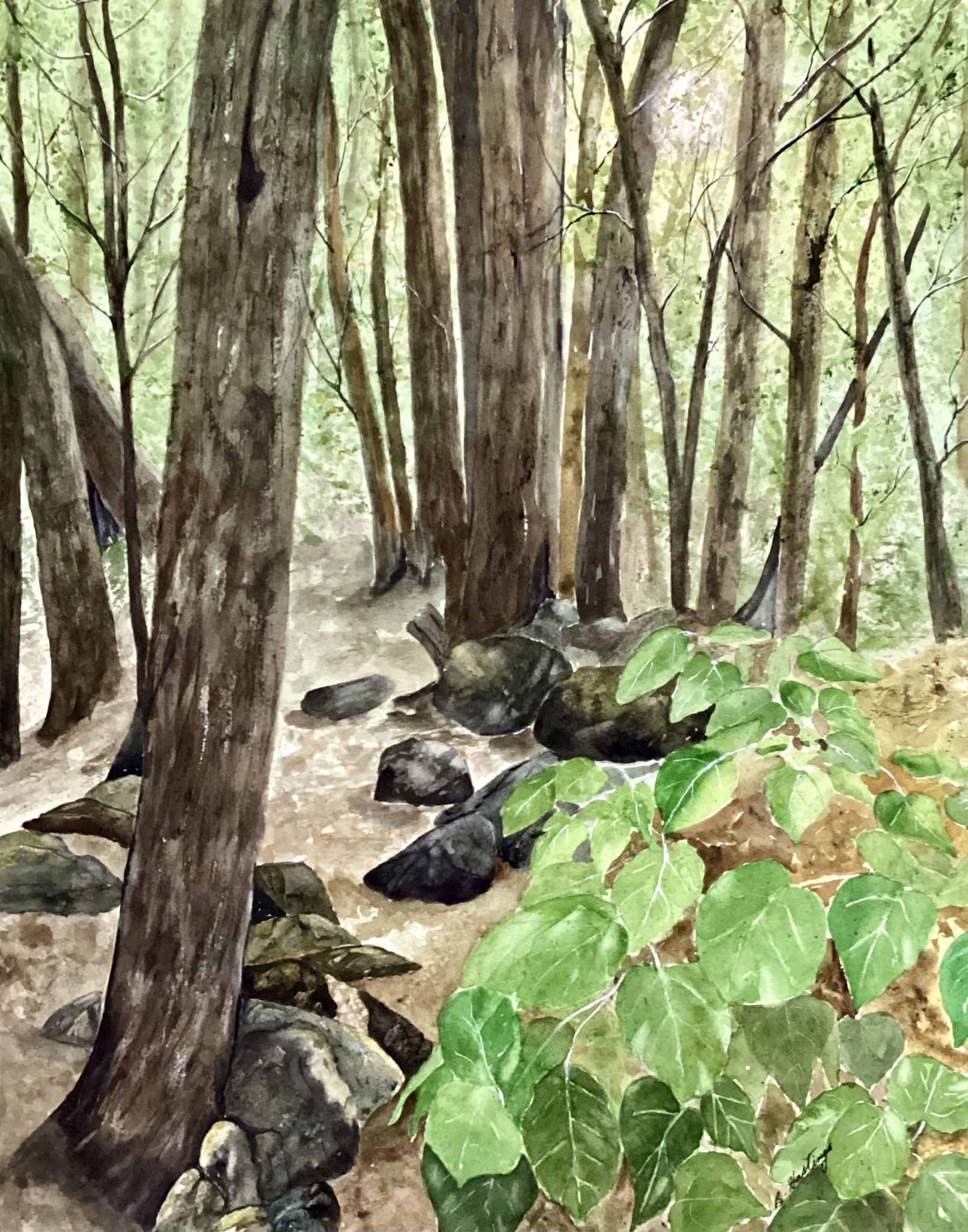 Click here to view Forest Bathing by Bonnie Hastings
